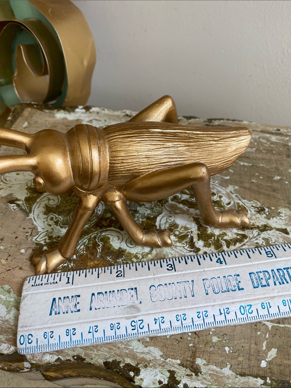 Gold Cricket - Picture 5 of 6